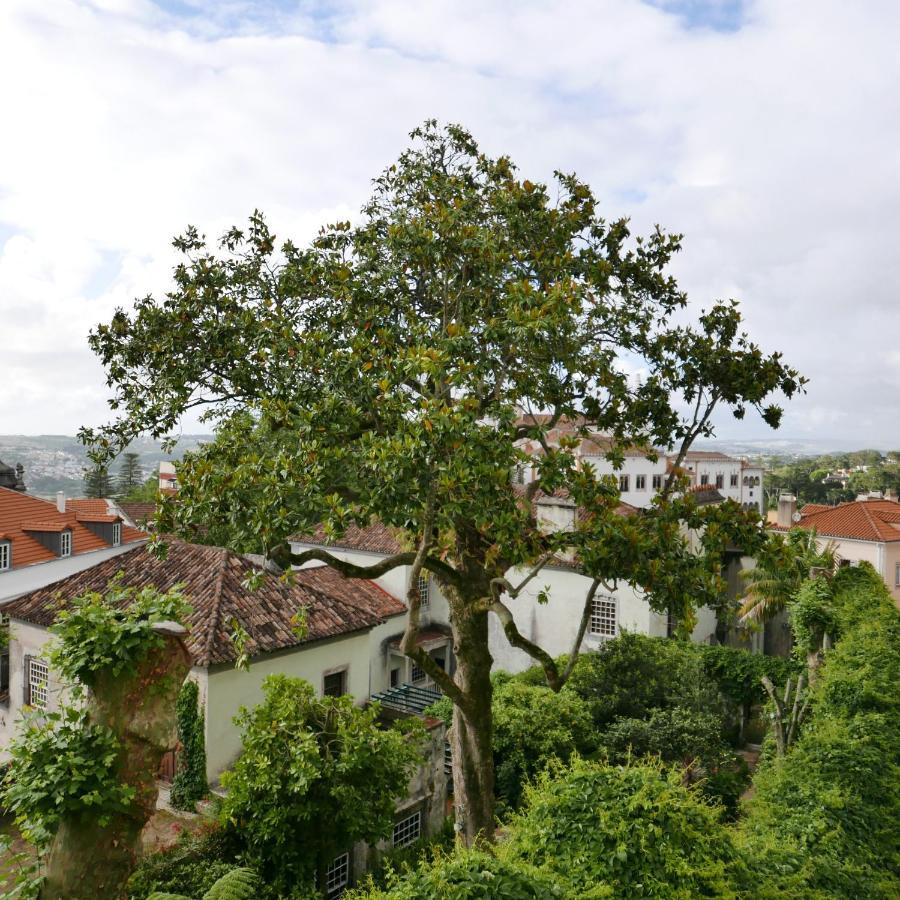 Espaco Origem Sintra Ngoại thất bức ảnh